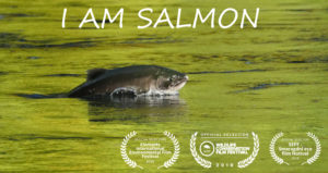 I am salmon
